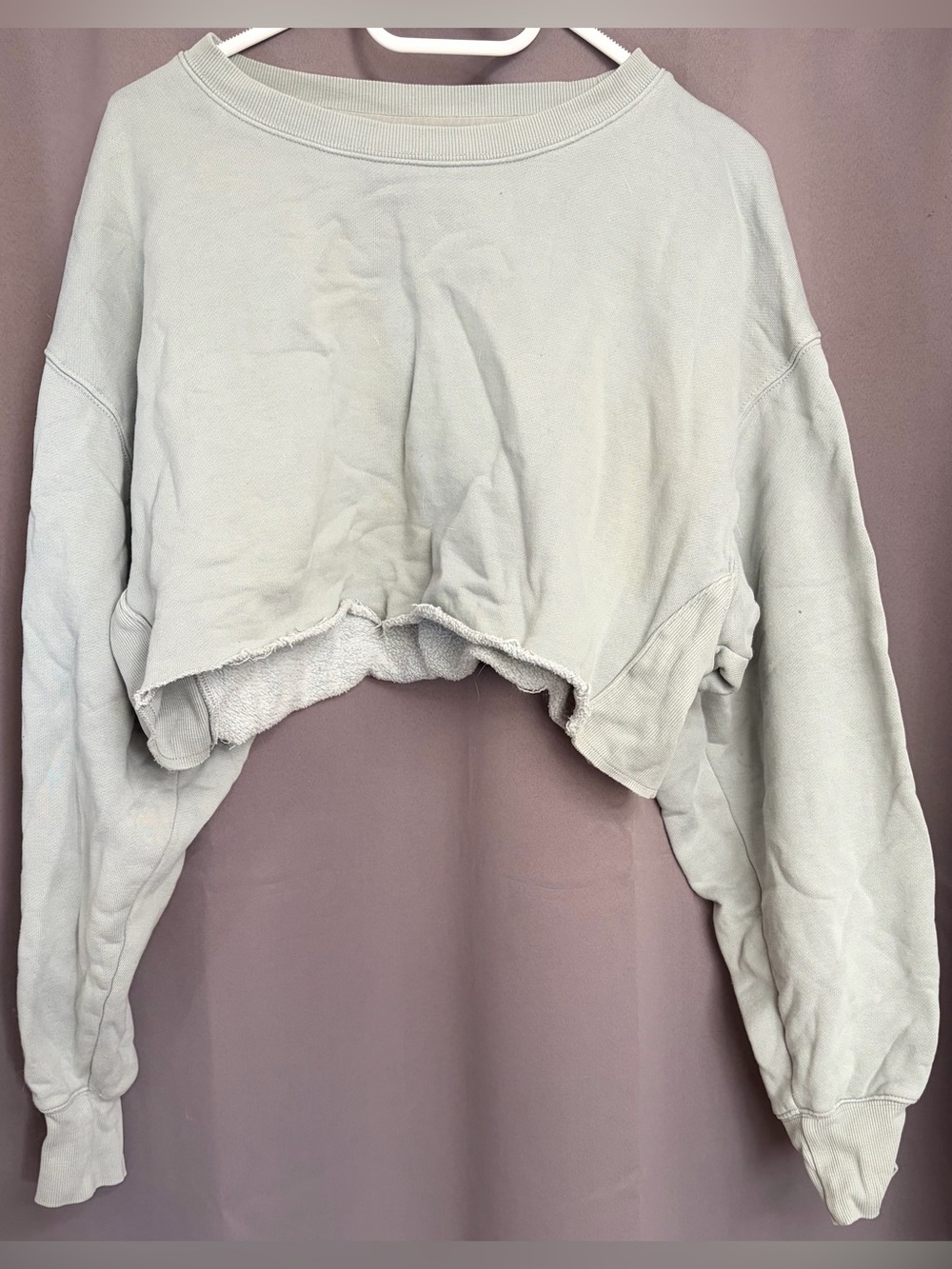 TNA Cropped Sweatshirt | Size 2